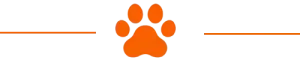 Hermes orange pet paw print horizontal divider