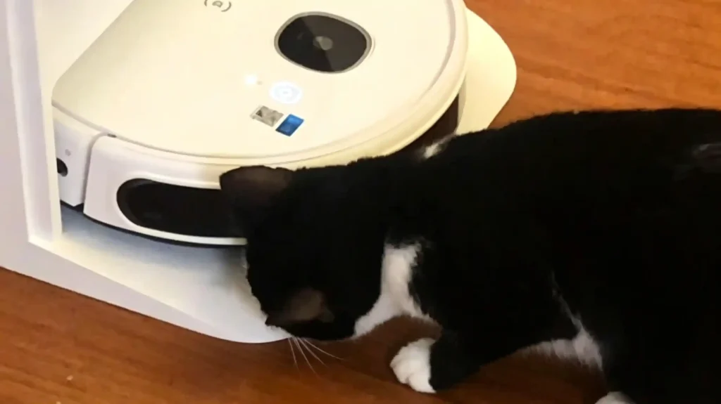 Automatic robot vacuum mop for pet owners, all-in-one sweeper cleaner to remove cat dog hair from carpet floor couch, hands-free whole home pet hair removal solution