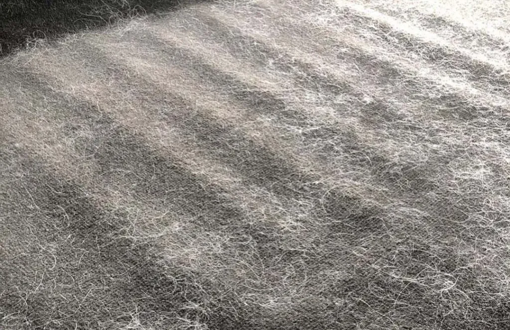 Dark gray car carpet completely covered in white pet hair strands showing typical mess that requires learning how to remove dog hair from vehicles effectively