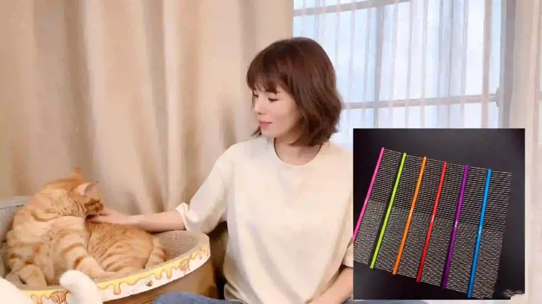 American pet blogger introducing colorful metal parting comb for cat grooming, home cat care with orange tabby cat