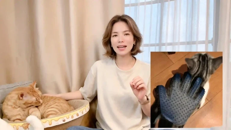 Pet influencer introducing affordable silicone cat grooming glove, easy deshedding tool for removing loose cat fur at home