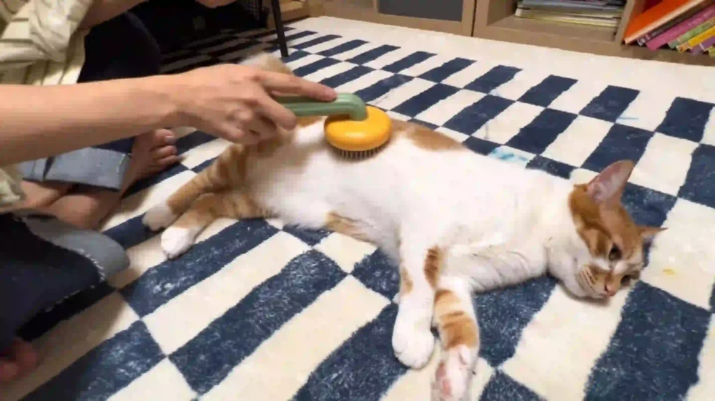 Self-cleaning cat slicker brush with one-button hair release, reduce cat shedding and remove loose pet fur, prevents cat hair from sticking to laundry clothes, couch and carpet for whole home pet hair cleanup