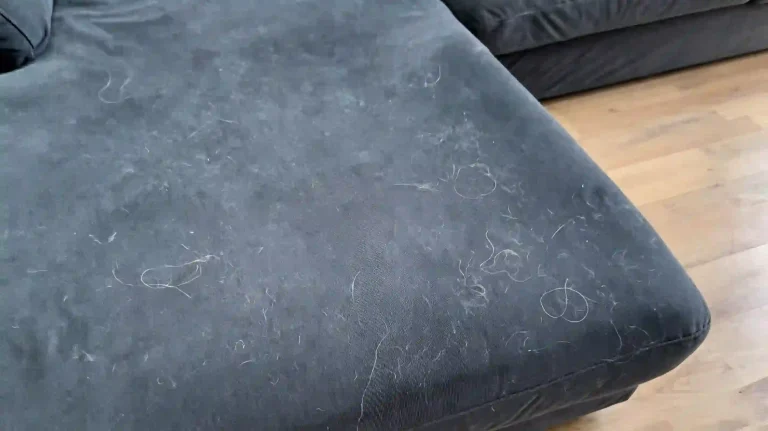 Grey fabric sofa covered with scattered pet cat dog hair, lint and loose fur, need portable lint roller to clean upholstery